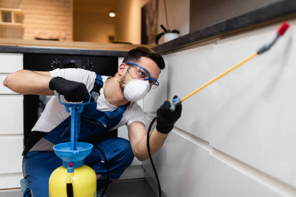 Best Pest Prevention Services  in , OR