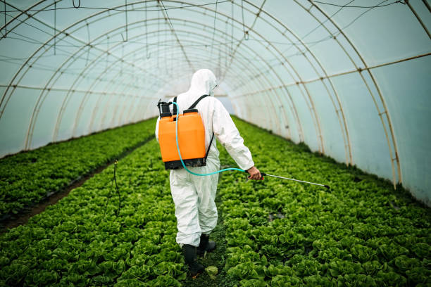 Best Affordable Pest Control Services  in , OR