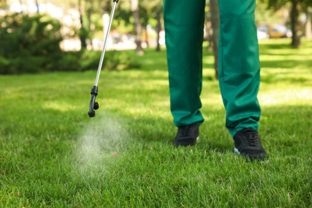 Best Termite Control Services  in , OR