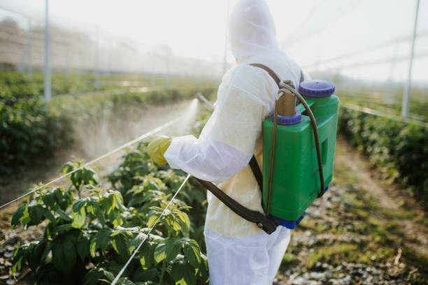 Best Ant Control Services  in , OR
